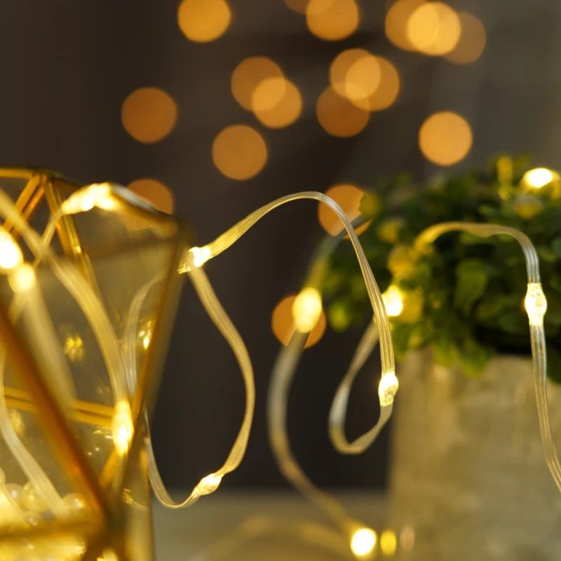 Wholesale LED Copper Wire String Light Coated – YZ-20400