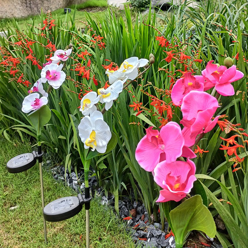 LED Solar Garden Light Moth Orchid – YZ-50039