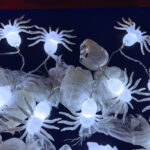 Wholesale LED String Light Halloween – YZ-80006