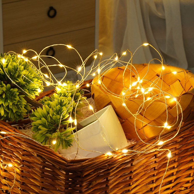 Wholesale LED Copper Wire Gold Wire Light – YZ-10030