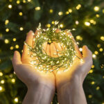 Wholesale LED Copper Wire Light Green Wire With – YZ-20005