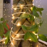 Wholesale Copper Wire LED Tube Light – YZ-90070